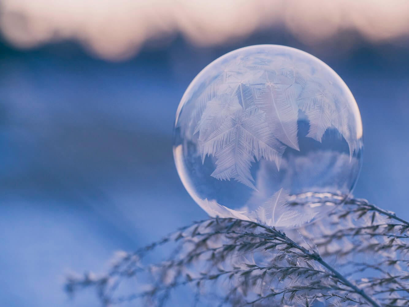 Un anniversaire Reine des Neiges 2 pour ses 4 ans - Autour d'Erynn