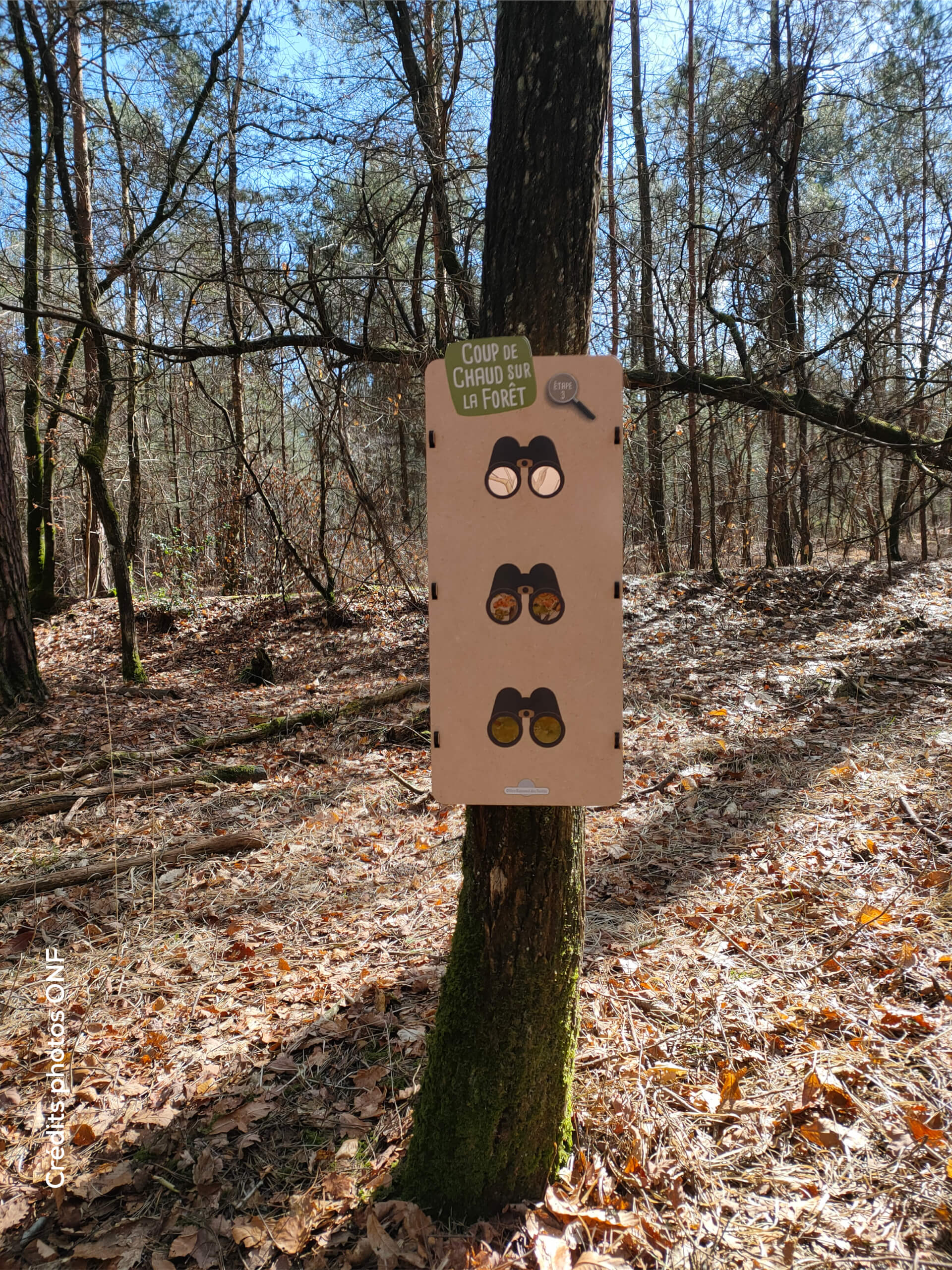 Enquête déambulatoire ONF “Coup de Chaud sur la Forêt !”