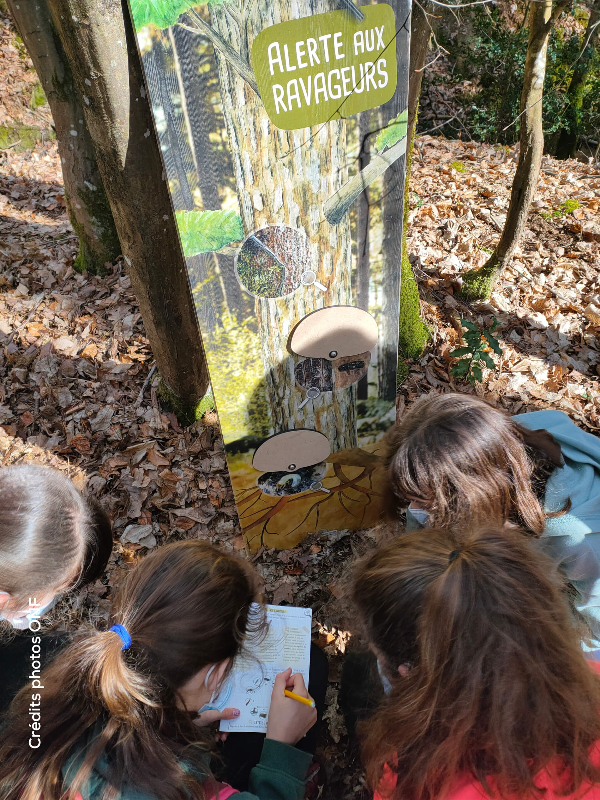 Enquête déambulatoire ONF “Coup de Chaud sur la Forêt !”